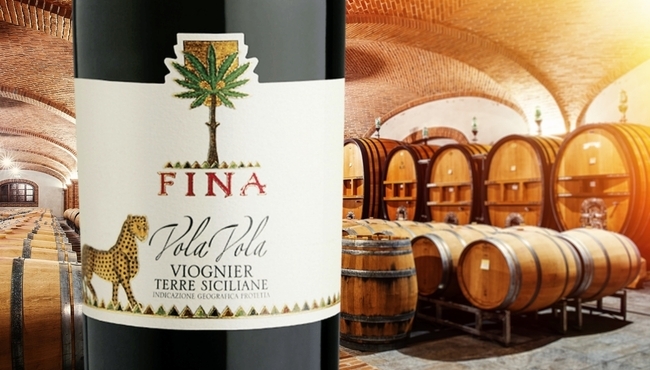 Cantine Fina | Vola Vola da 75cl